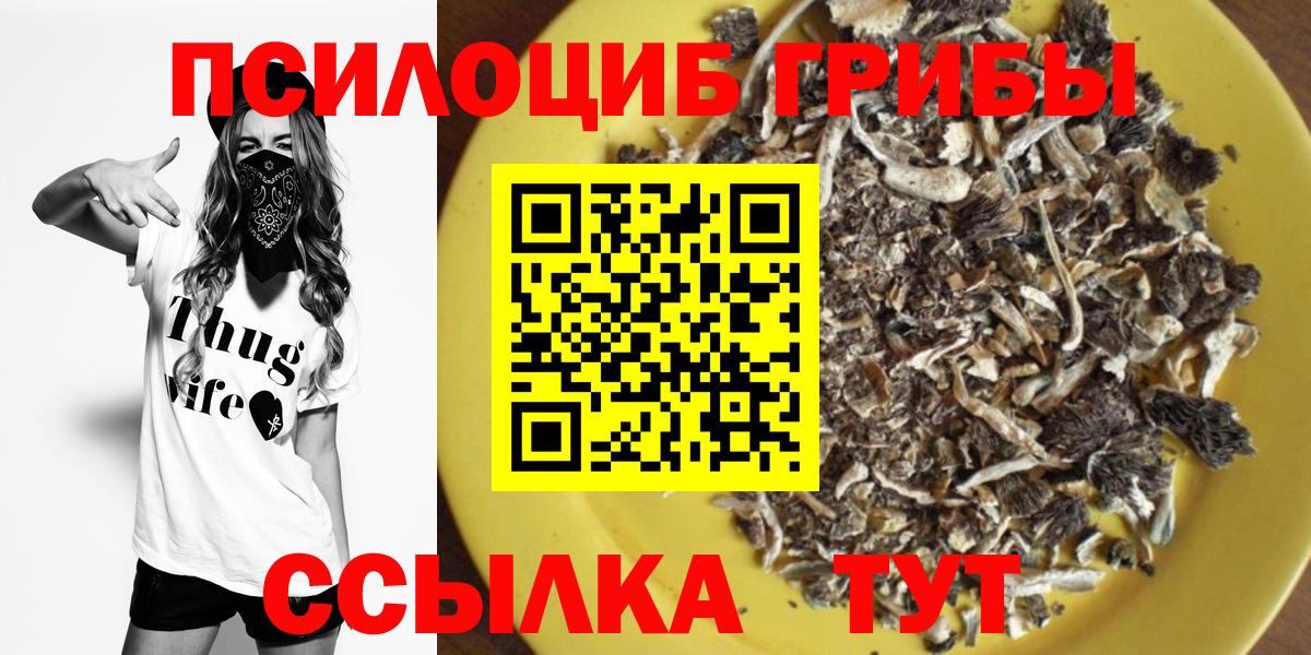 Кимры  Псилоцибиновые грибы Psilocybine cubensis  Вход с VPN  Галлюциногенные грибы Cubensis 