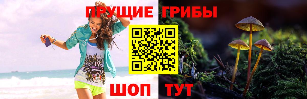 Галлюциногенные грибы Magic Shrooms Кимры